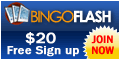 Bingo Flash