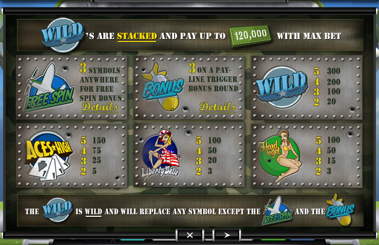 Ace Gaming Software slot machine image