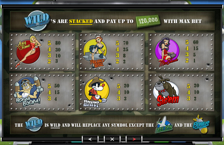 Ace Gaming Software slot machine image