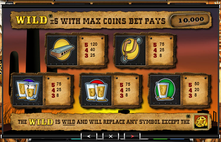 Ace Gaming Software slot machine image