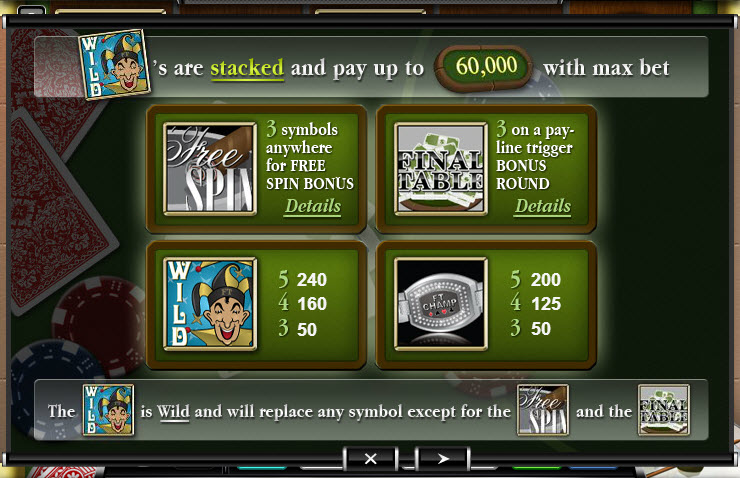 Ace Gaming Software slot machine image