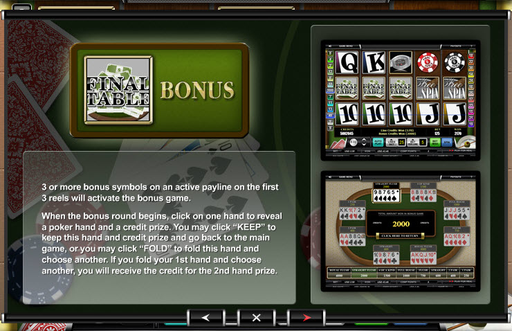 Ace Gaming Software slot machine image