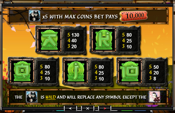 Ace Gaming Software slot machine image
