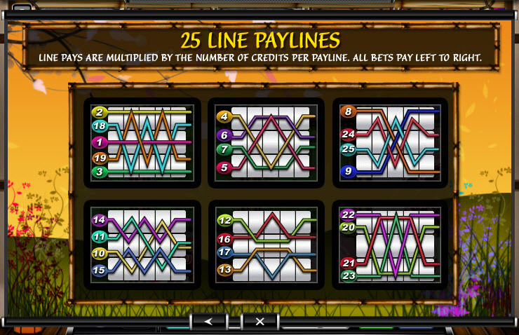 Ace Gaming Software slot machine image