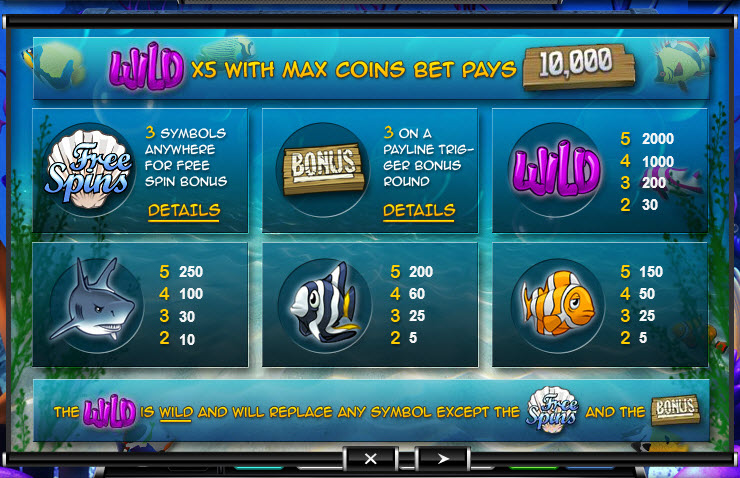 Ace Gaming Software slot machine image
