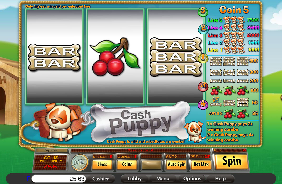 Saucify slot machine image