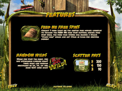 BetSoft Gaming slot machine image