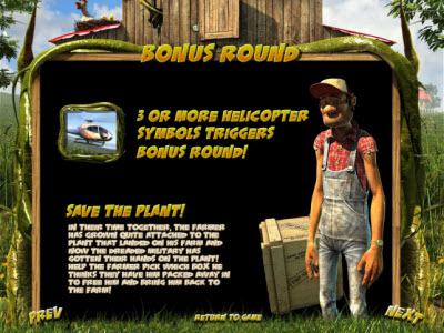 BetSoft Gaming slot machine image