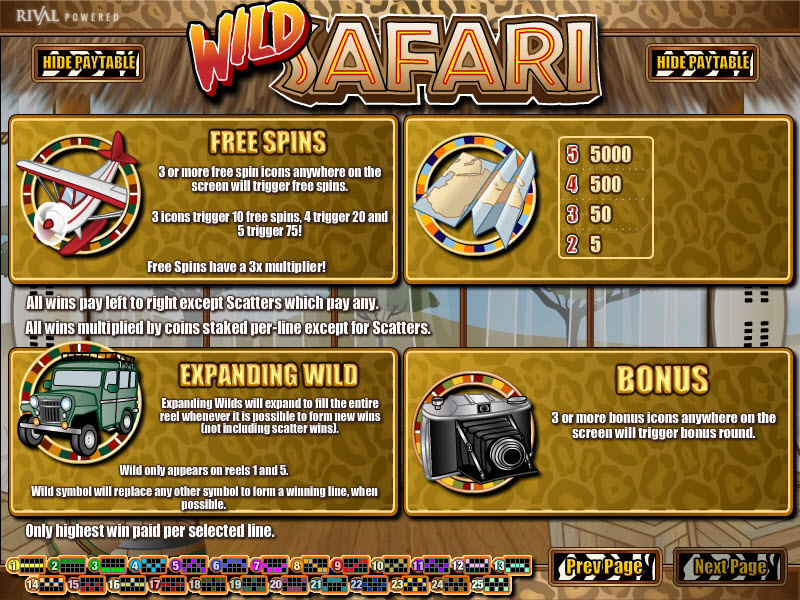 Rival i-Slot slot machine image