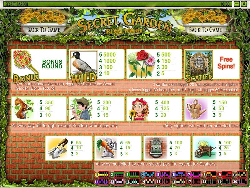 Rival video slot machine image