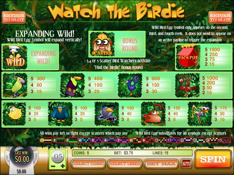 Rival video slot machine image