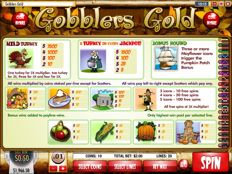 Rival video slot machine image