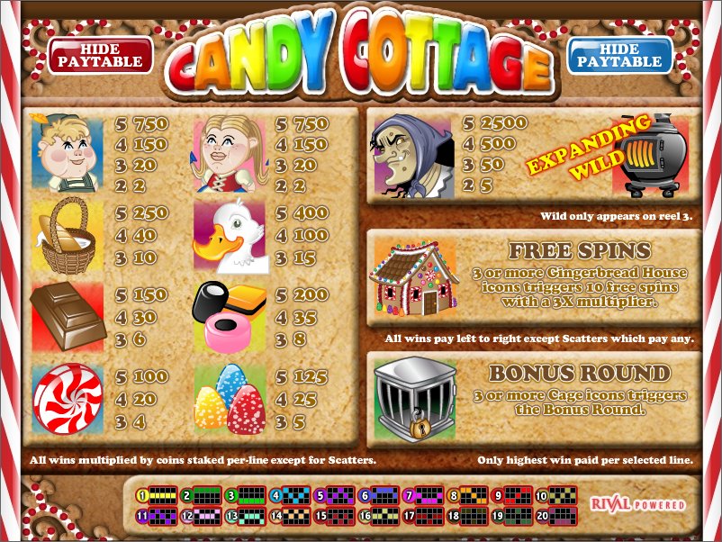 Rival video slot machine image