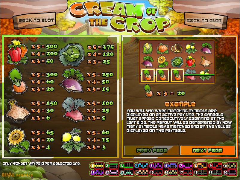 Rival video slot machine image
