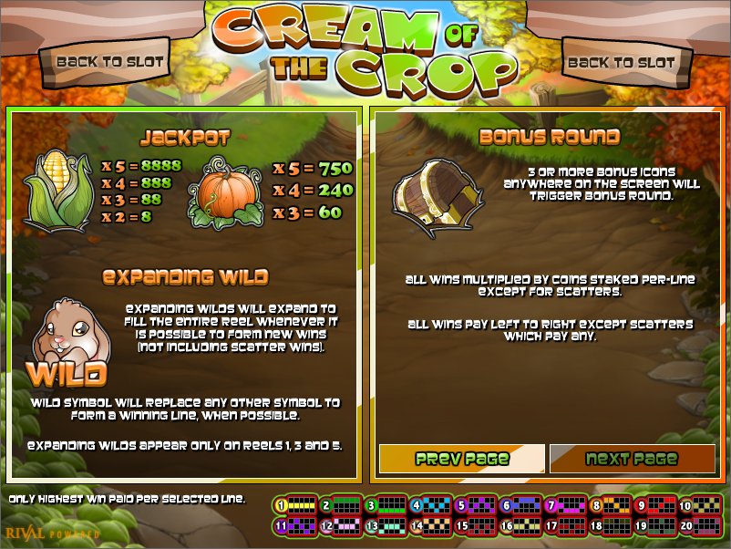 Rival video slot machine image