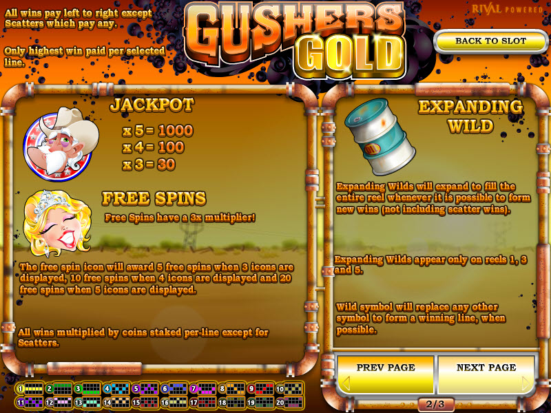 Rival video slot machine image