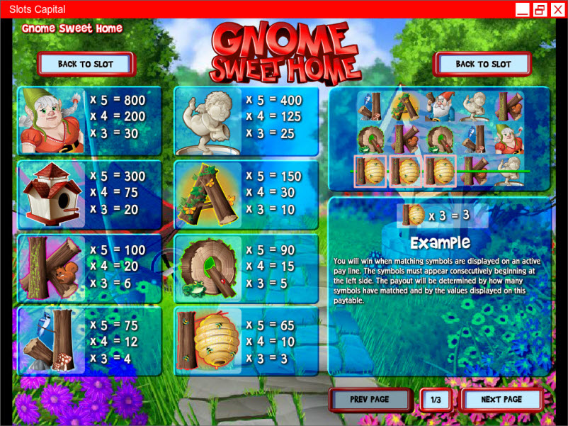 Rival video slot machine image