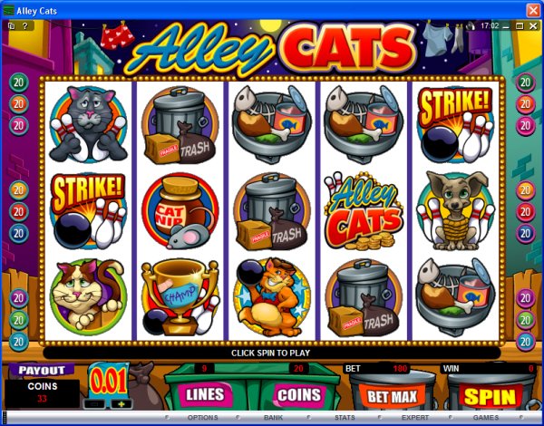 Microgaming 5 reel slot machine image