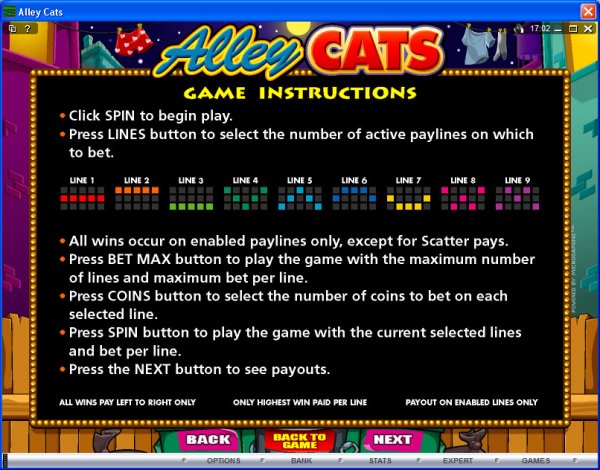 Microgaming 5 reel slot machine image