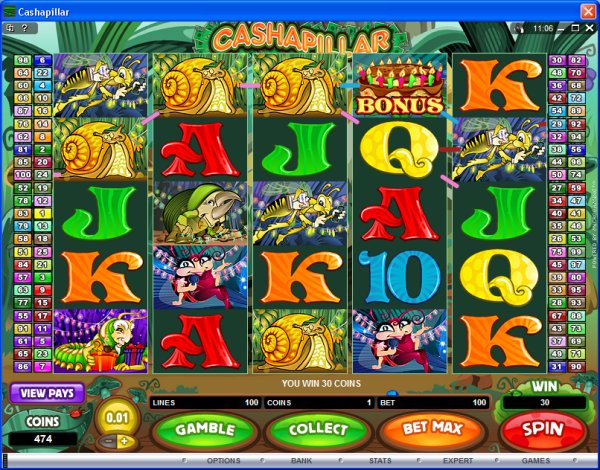 Microgaming 5 reel slot machine image