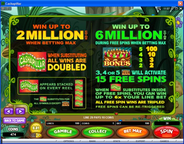 Microgaming 5 reel slot machine image
