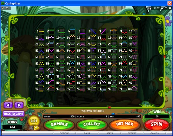 Microgaming 5 reel slot machine image