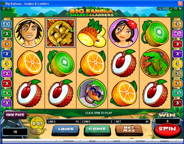 Microgaming 5 reel slot machine image
