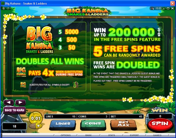 Microgaming 5 reel slot machine image