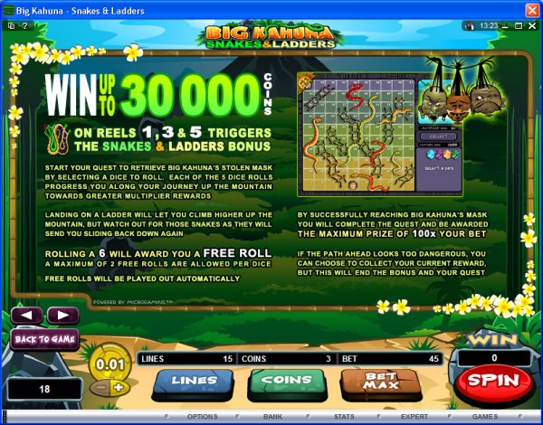 Microgaming 5 reel slot machine image
