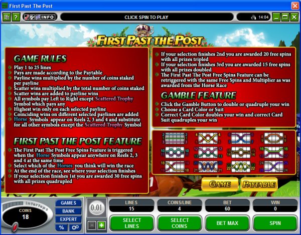 Microgaming 5 reel slot machine image