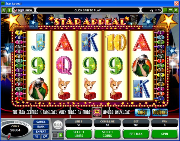 Microgaming 5 reel slot machine image