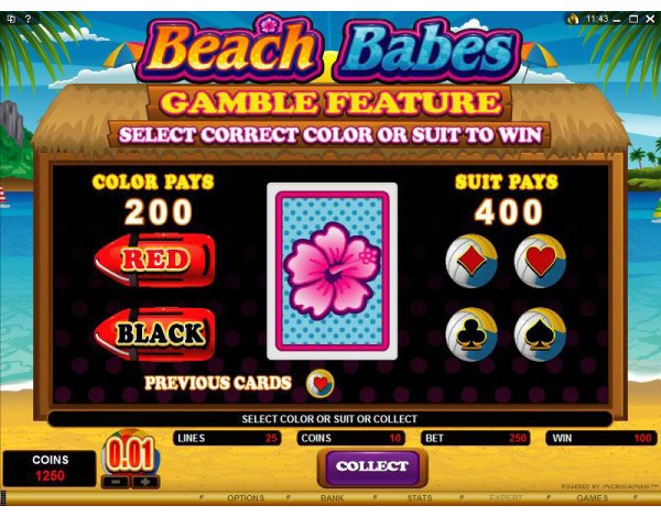 Microgaming 5 reel slot machine image