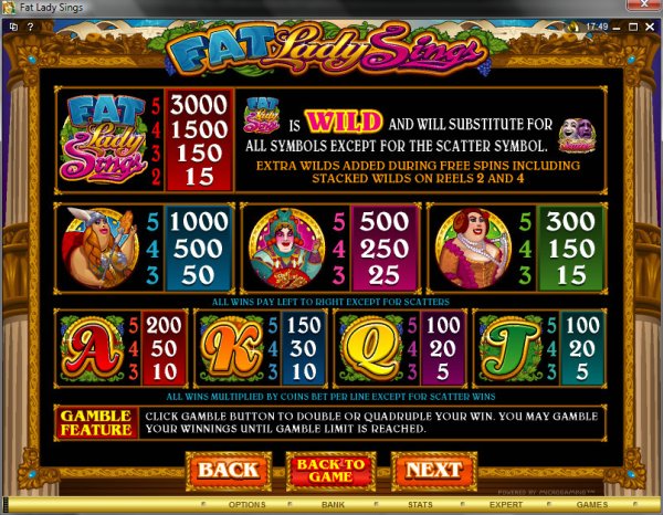 Microgaming 5 reel slot machine image