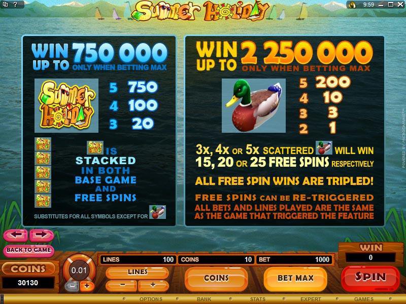 Microgaming 5 reel slot machine image