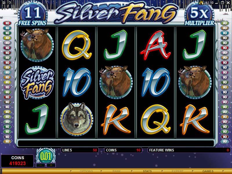 Microgaming 5 reel slot machine image