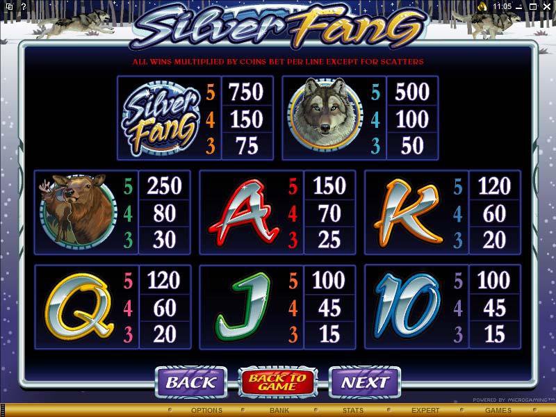 Microgaming 5 reel slot machine image