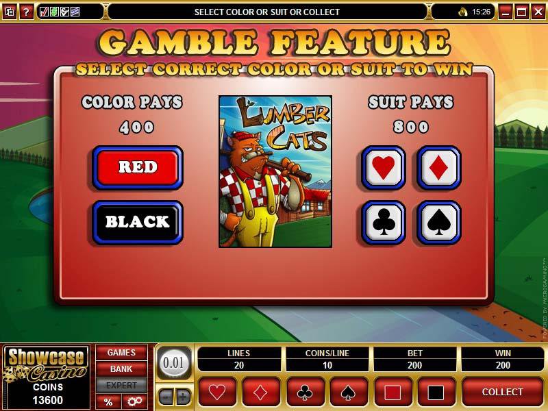 Microgaming 5 reel slot machine image