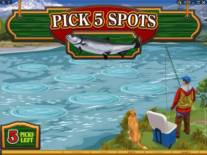 Microgaming 5 reel slot machine image