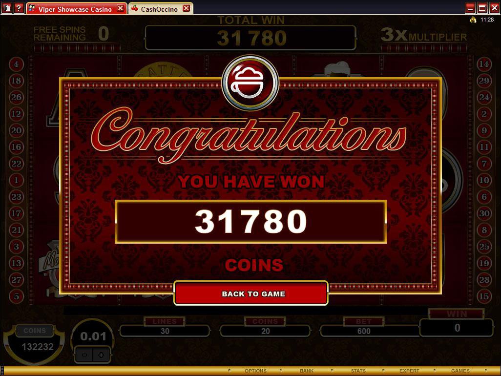 Microgaming 5 reel slot machine image