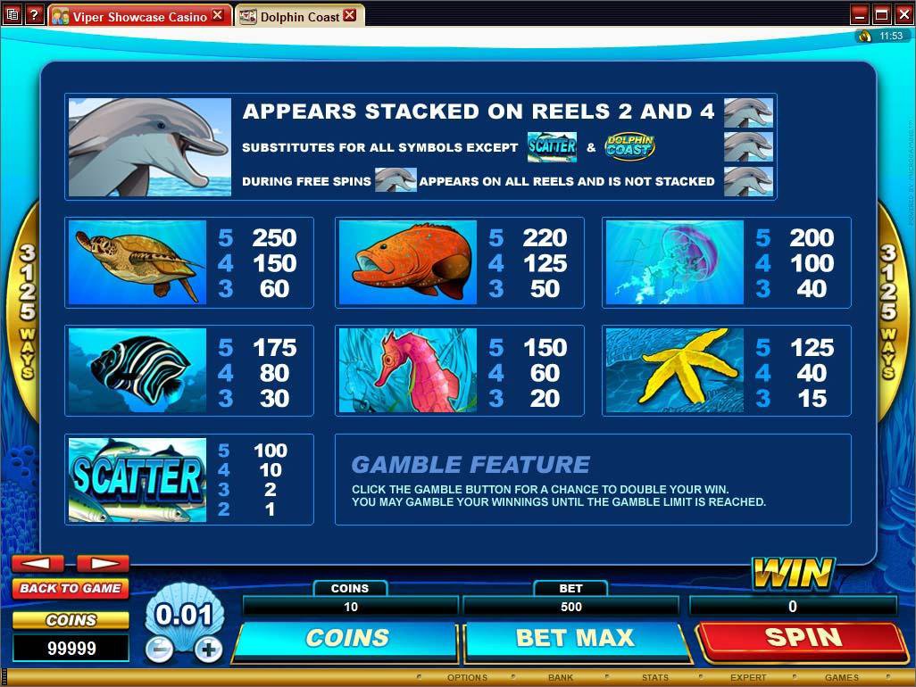 Microgaming 5 reel slot machine image