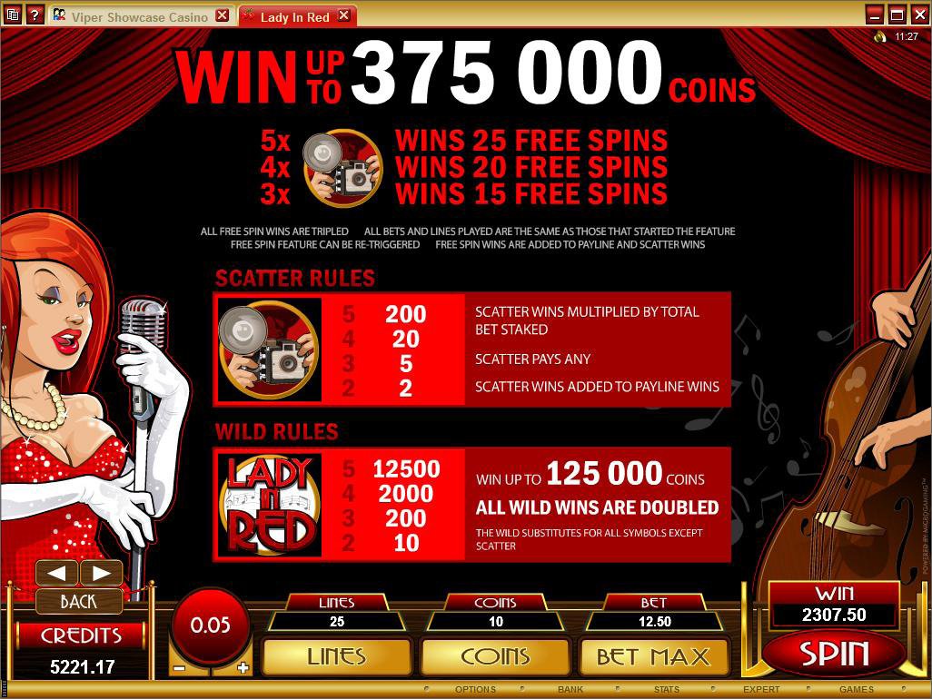 Microgaming 5 reel slot machine image