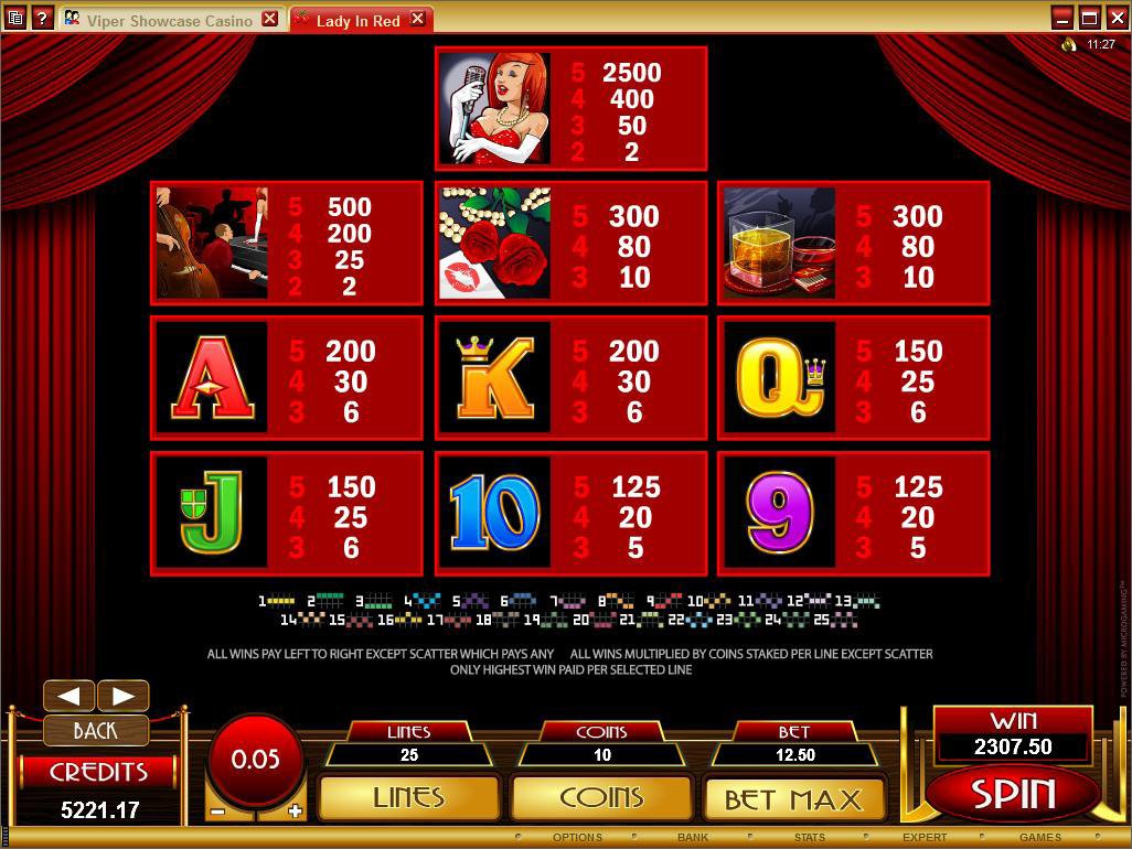 Microgaming 5 reel slot machine image