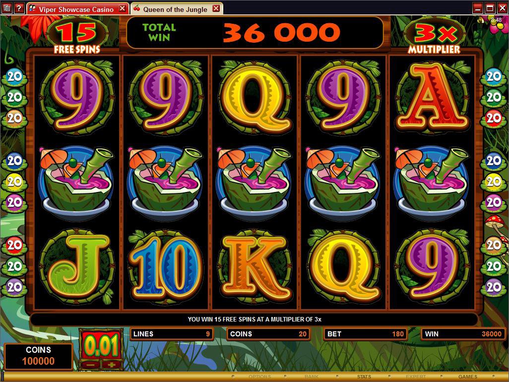 Microgaming 5 reel slot machine image