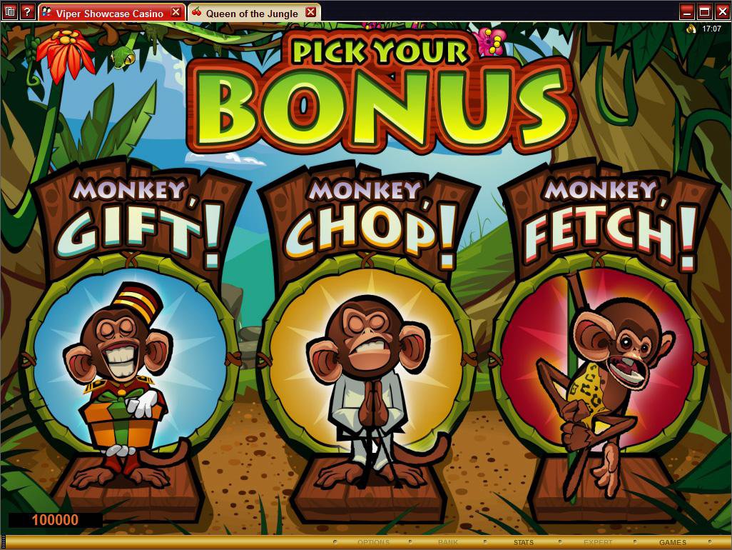 Microgaming 5 reel slot machine image