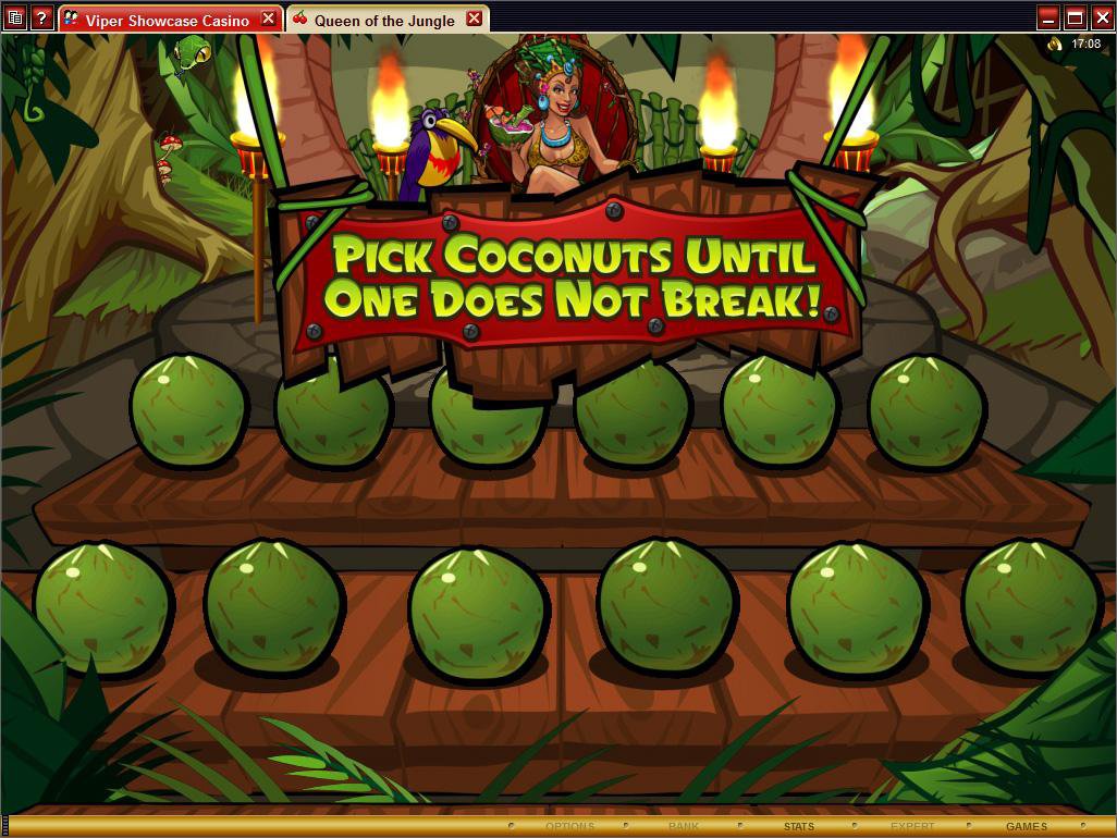 Microgaming 5 reel slot machine image