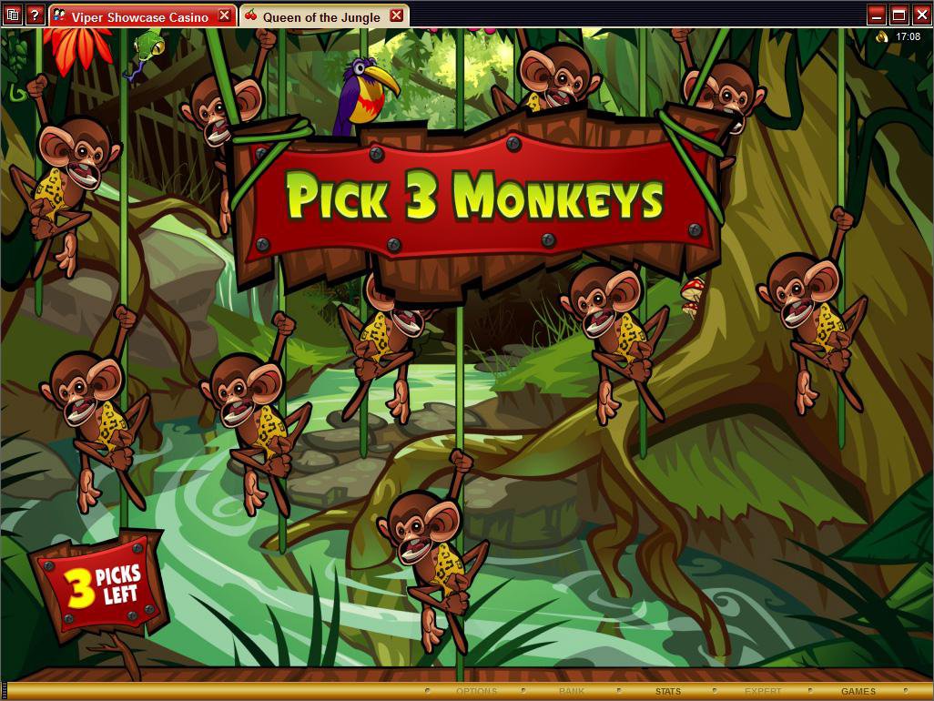 Microgaming 5 reel slot machine image