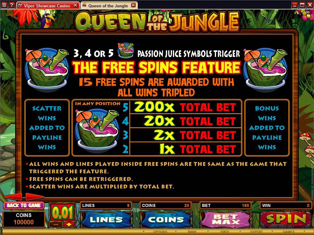 Microgaming 5 reel slot machine image