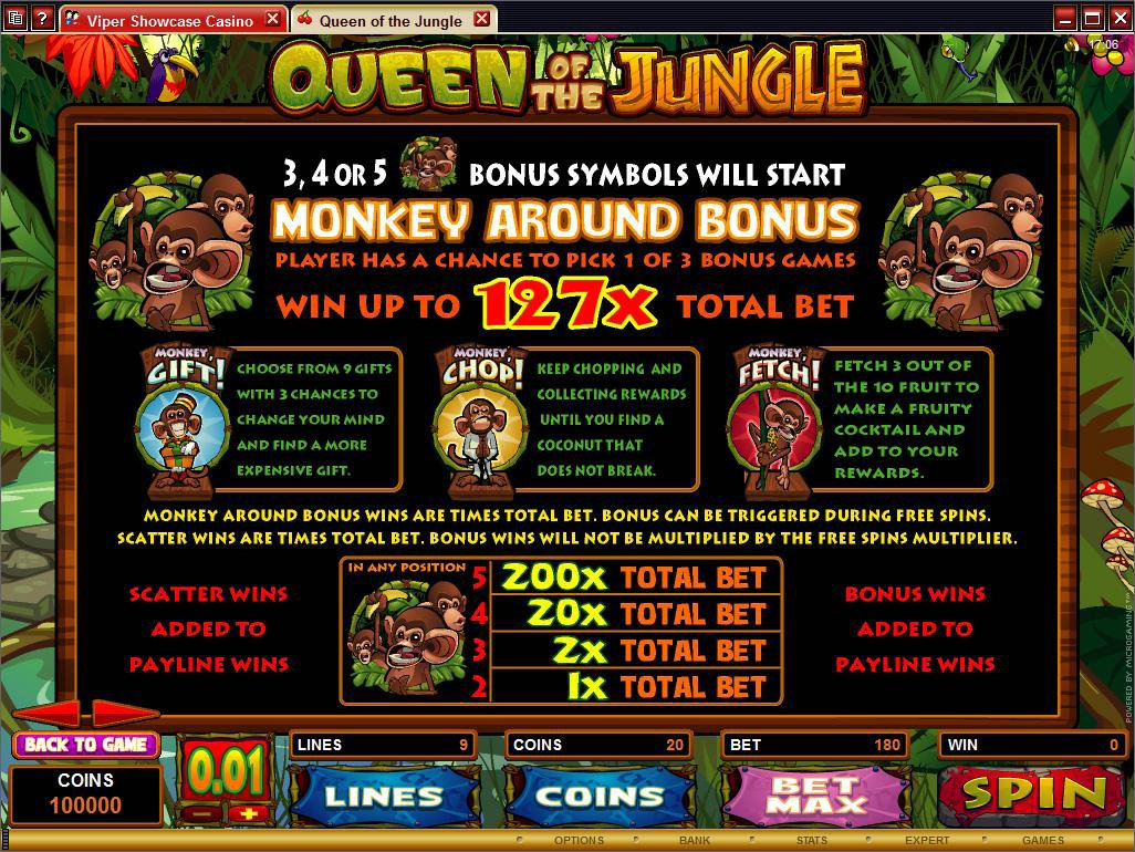 Microgaming 5 reel slot machine image