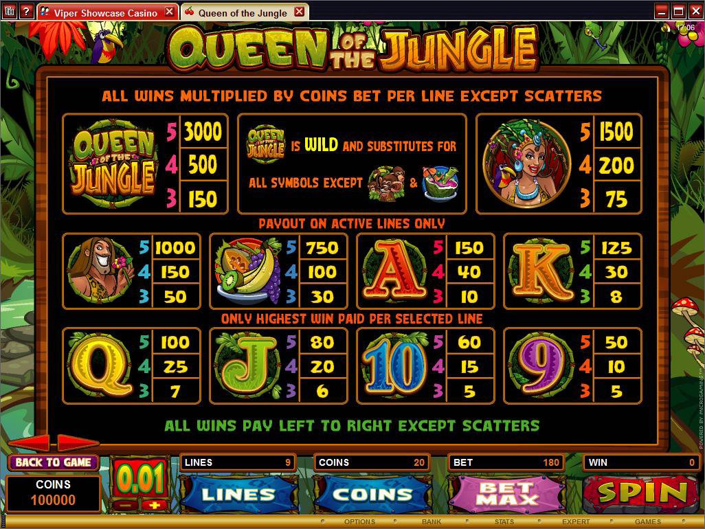 Microgaming 5 reel slot machine image