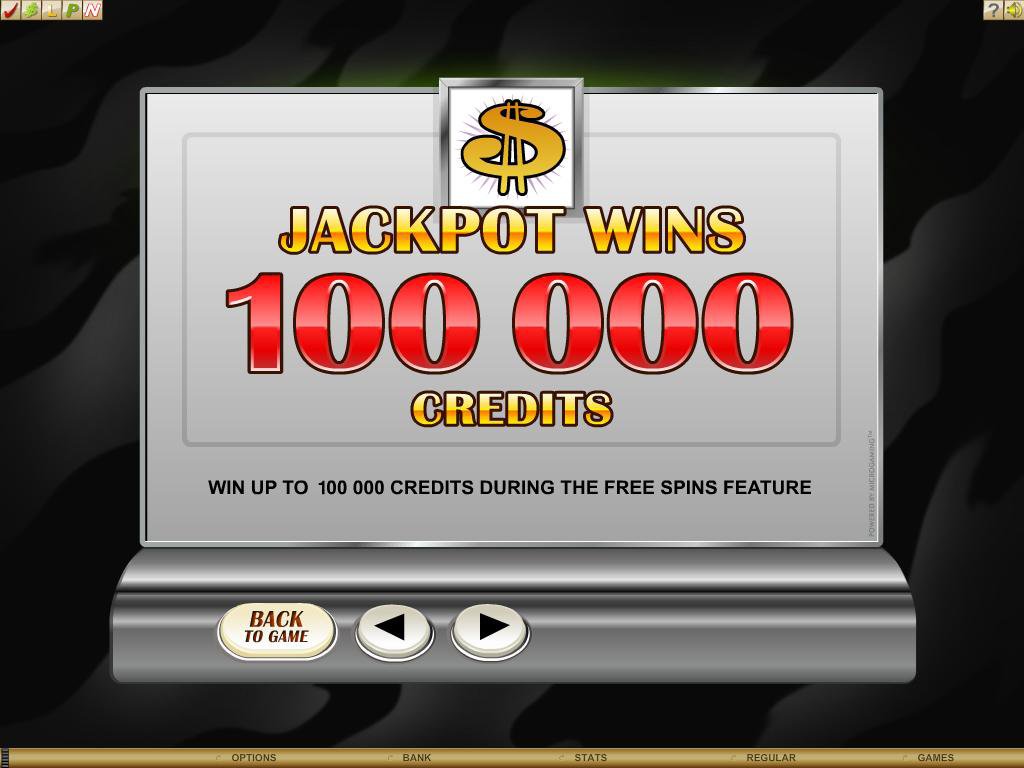 Microgaming 5 reel slot machine image